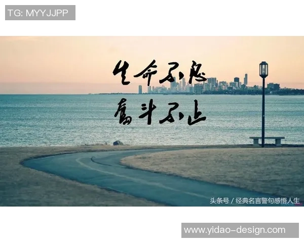 篮球明星白白胖胖的成长故事与他背后的励志人生旅程